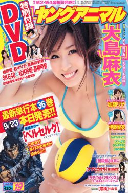 电视剧女婿难当