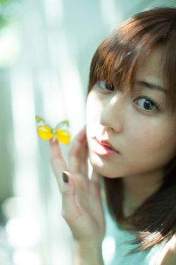 电视剧上阵父子兵全集