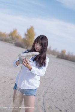 《柳舟记》