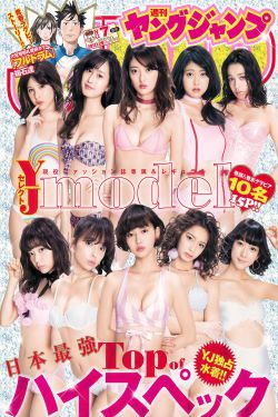 女士的法则电视剧免费观看